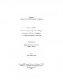 Conocimiento y epistemología de la pedagogía