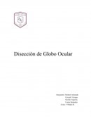 Disección de Globo Ocular.
