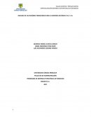 ANALISIS DE LAS RAZONES FINANCIERAS PARA LA EMPRESA BATERIAS P.A.C. S.A.