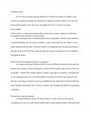Integradora de biología etapa 4