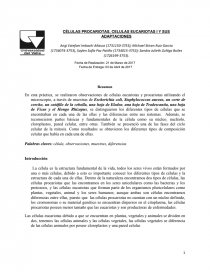 CÉLULAS PROCARIOTAS, CELULAS EUCARIOTAS I Y SUS ADAPTACIONES. Página 1