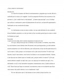 El sentido de la vida-opinion