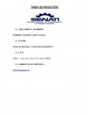 TAREA DE INDUCCIÓN INDUCCION SENATI