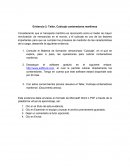 Evidencia 2: Taller, Cubicaje contenedores marítimos.