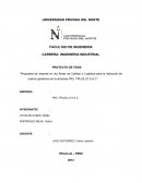 Propuesta de mejoras en las áreas de calidad y logística para la reducción de costos operativos en la empresa PIEL TRUJILLO S.A.C.