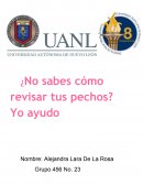 Ensayo cancer de mama