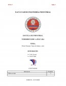 Primer Principio. Flujos de trabajo y calor