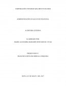 Administración en salud ocupacional Auditoria externa