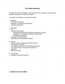 Los Tributos Aduaneros.