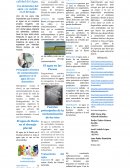 El cuidado y calidad del Agua Uso doméstico del agua y su vaciado en el drenaje