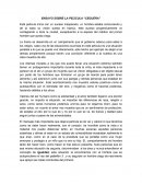 Ensayo Película Ceguera