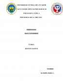 Entrevista adulto intermedio