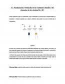 Fundamentos y Evaluación de las condiciones iniciales y los elementos de los circuitos RL y RC.