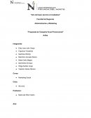 Propuesta de campaña anual promocional