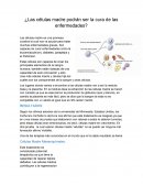 ¿Las células madre podrán ser la cura de las enfermedades?