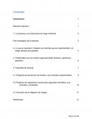 La empresa y sus situaciones de riesgo inherente