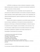 Creacion de una empresa.