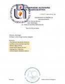 Histologia Tipos de Microscopio