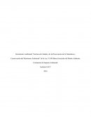 Instrumento Ambiental “Normas de Calidad y de la Preservación de la Naturaleza y Conservación del Patrimonio Ambiental” Evaluación de Impacto Ambiental