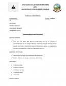 ELABORACION DE UNA PILA CASERA