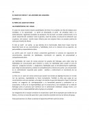 EL COACH DE VENTAS Y LAS LECCIONES DEL COACHING