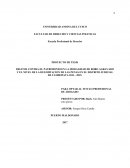 CAUSAS Y CONSECUENCIAS QUE ORIGINAN LA CONTAMINACION DE LOS RIOS TAMBOPATA Y MADRE DE DIOS EN LA PROVINCIA Y DISTRITO DE TAMBOPATA.