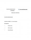Las úlceras por presión son definidas universalmente como una lesión causada por trastornos en la irrigación sanguínea y nutrición tisular