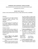 EXPERIENCIA USO DEL MECHERO Y TRABAJO EN VIDRIO
