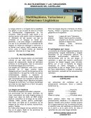 EL MULTILINGÜÍSMO Y LAS VARIACIONES REGIONALES DEL CASTELLANO