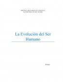 Evolución ser humano