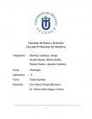 Histología Tejido Epitelial