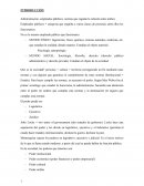 Administración, empleados públicos, normas que regulan la relación entre ambos
