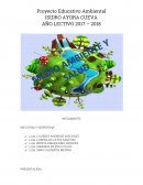 El concepto de salud y medio ambiente