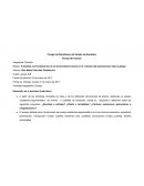 Analizas los fundamentos de la racionalidad humana en el contexto del pensamiento clásico griego