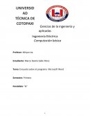 Tema: Encuesta sobre el programa Microsoft Word