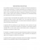 REDES DEFINIDAS POR SOFTWARE