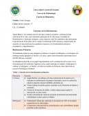 Bioelementos y su importancia