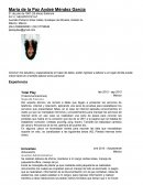 Total Play (Telecomunicaciones)