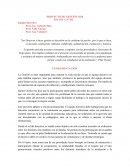 PROYECTO DE GESTIÓN 2016