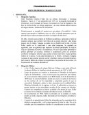 JHON FULLER - PENSADOR ESTRATEGICO
