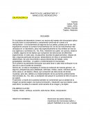 PRÁCTICA DE LABORATORIO N° 1 MANEJO DEL MICROSCOPIO CALIFICACIÓN 3.4