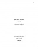 Facultad de Derecho Investigación I