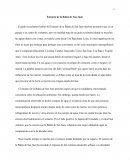 TEMA- Estuario de la Bahía de San Juan