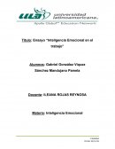 Ensayo “Inteligencia Emocional en el trabajo”