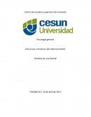 Análisis de una familia