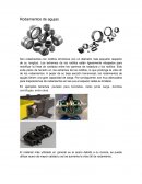 Rodamientos de agujas