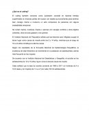 ¿Qué es el cutting?