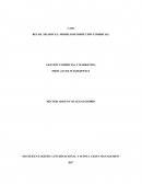 Plan de ventas para proyecto Seldon S.L.: Definición de objetivos y esquema de compensación