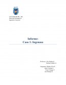 Informe Caso Ingenasa