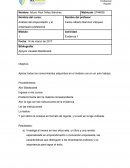 Análisis del emprendedor y el empresario profesional